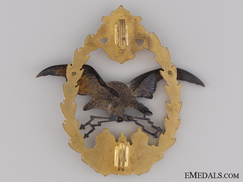 1917-18_austrian_general_flying_badge_img_02.jpg541b25127388a