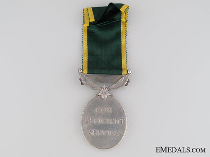 canadian_efficiency_medal,_regimental_quartermaster_sergeant(_warrant_officer2_nd_class)_a.j._hayhurst_m.m._img_02.jpg52e94067801a9