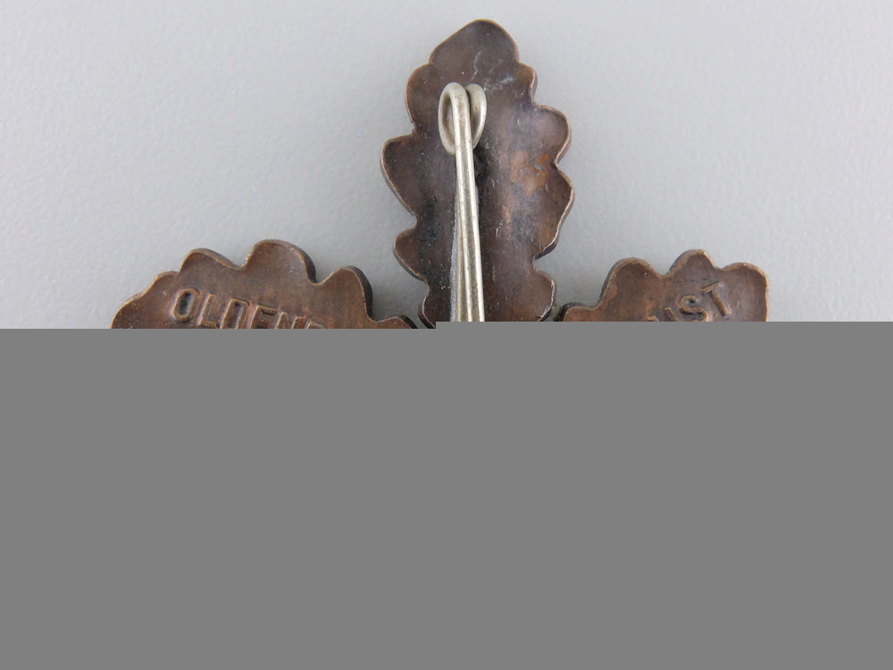 an1870-1910_oldenburg_oakleaves_badge_img_02.jpg5596be4ee4f7f
