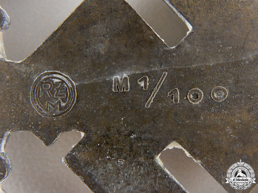 an_sa_bronze_award_for_war_disabled_by_werner_redo_img_03.jpg5568986462da5