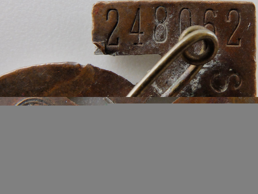 a_german_hj_proficiency_badge_by_gustav_brehmer_img_03.jpg554a23cb4b082