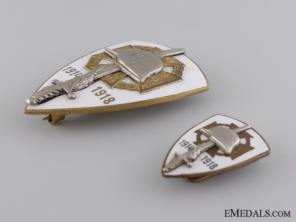 two_hungarian_wwi_veteran„¢¯_s_badges_img_03.jpg544549c8ee80b