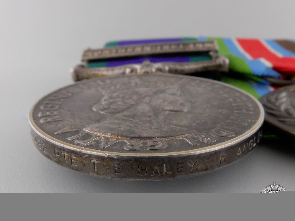 a_northern_ireland&_yugoslavia_group_to_the_royal_anglian_regiment_img_03.jpg55413de40bf43