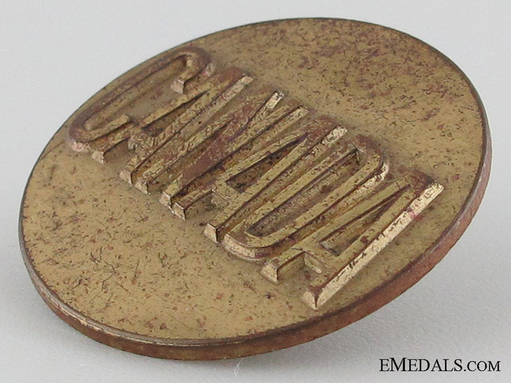 wwii1_st_special_service_force_collar_badge_img_04.jpg5304cd4b571ab