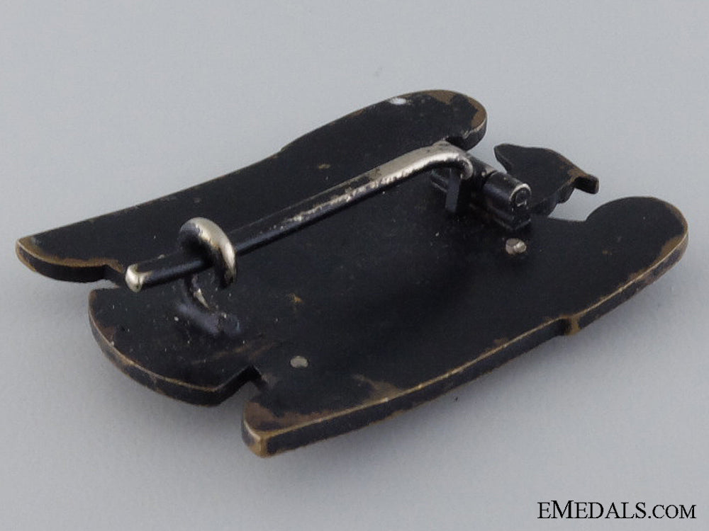 a_first_class_silesian_eagle_img_04.jpg546f55802f1c8