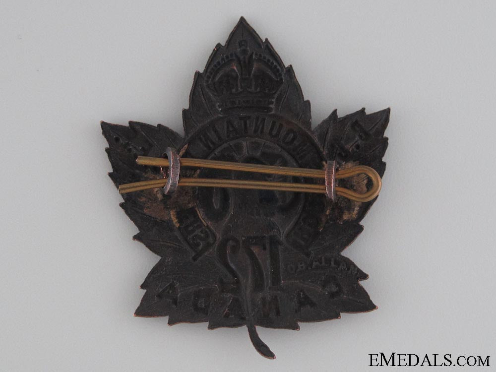 wwi172_nd_infantry_battalion_cap_badge_cef_img_0520_copy.jpg52ac676c10f99