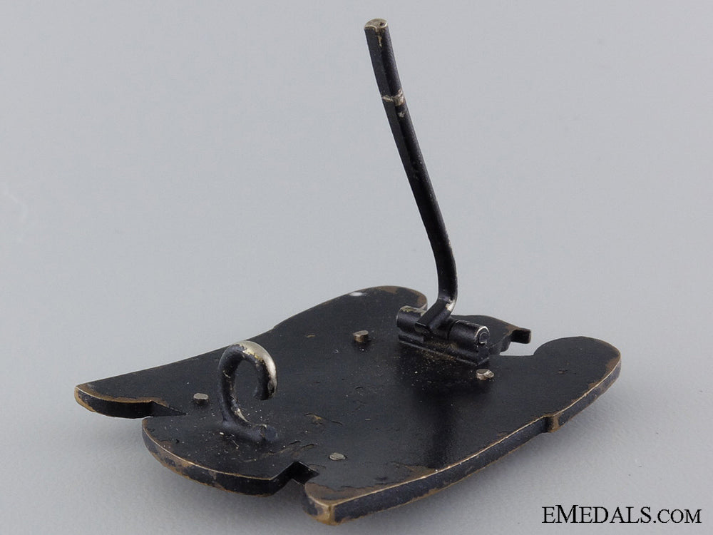 a_first_class_silesian_eagle_img_05.jpg546f55877106e