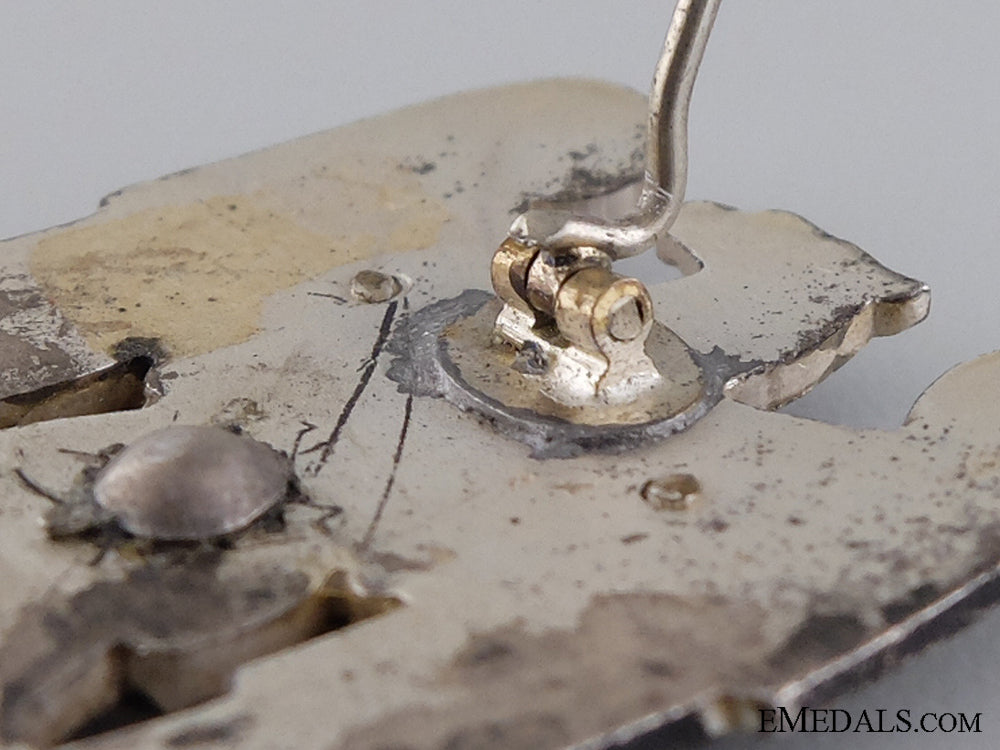 a_silesian_eagle;_first_class_with_swords_img_06.jpg54468d310423f