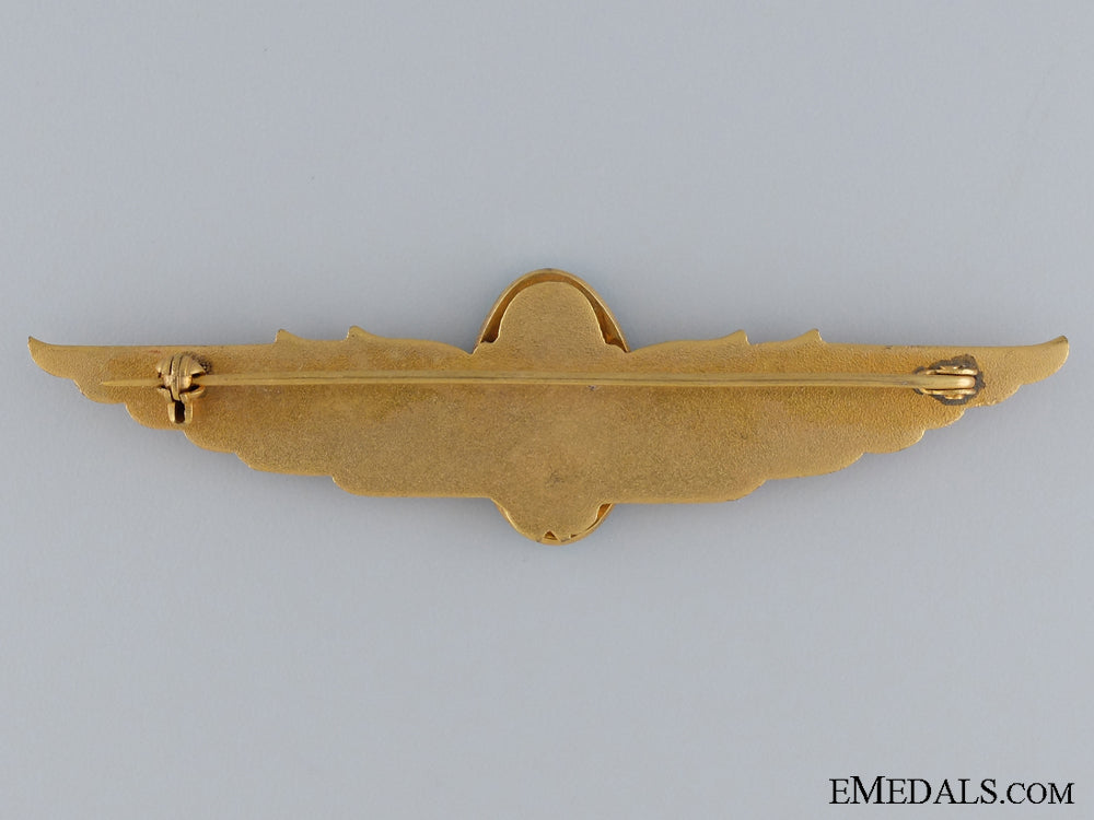 an_argentinian_air_force_wing;_unmarked_img_09.jpg53a0741e6dac6