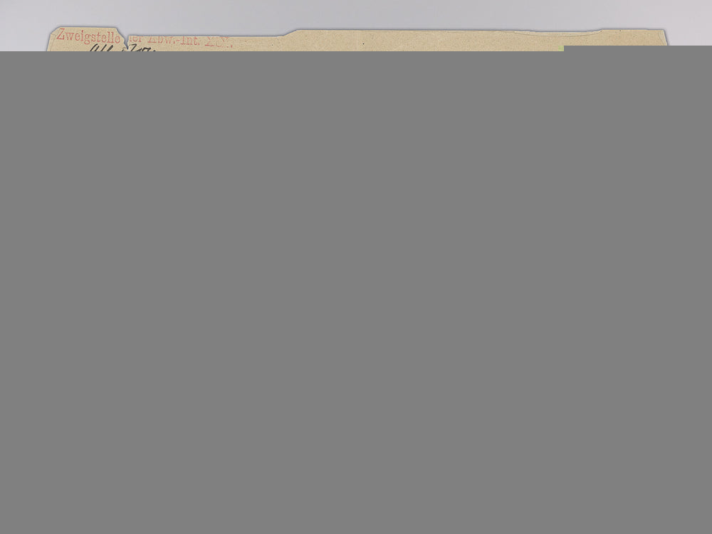 a_wwi_militärpaß_to_the107_th_reserve_infantry_regiment;_captured_img_12.jpg547a19e73e025