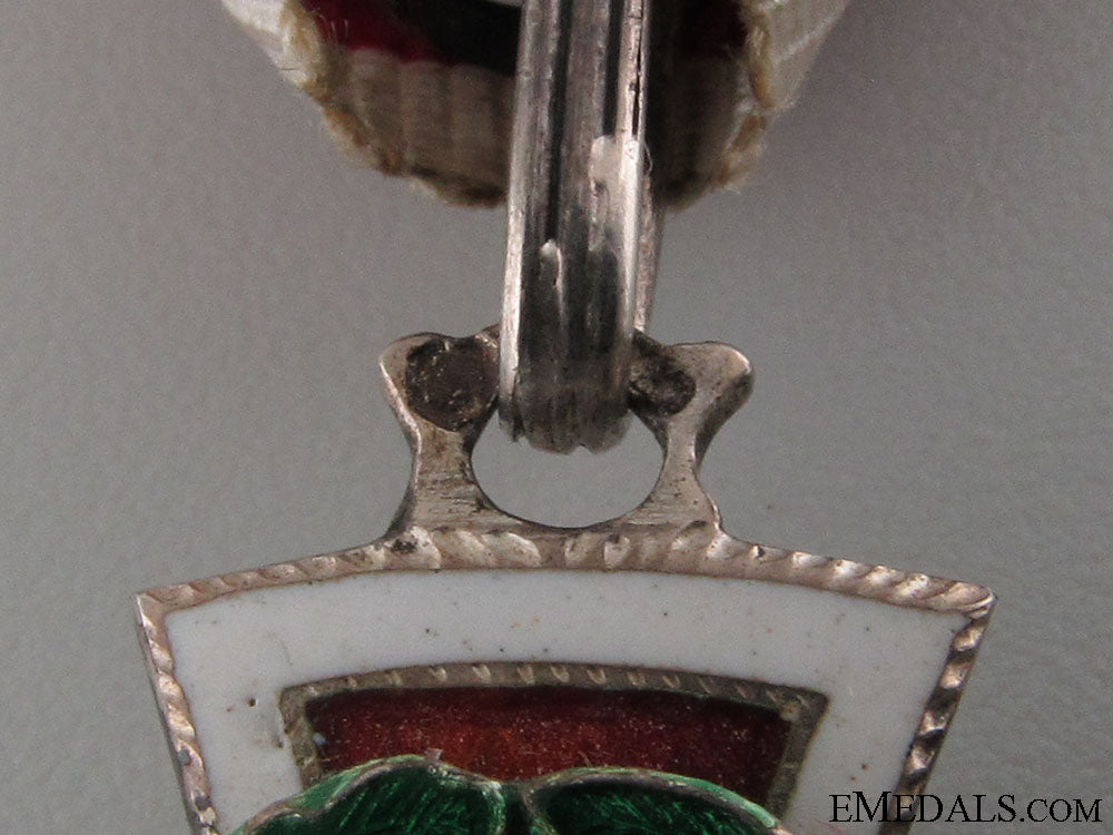 red_cross_honour_decoration_img_1522_copy