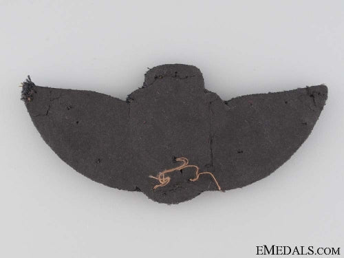 iraqi_air_force_pilot's_wings_badge_img_2075_copy.jpg52b868bf78f2a