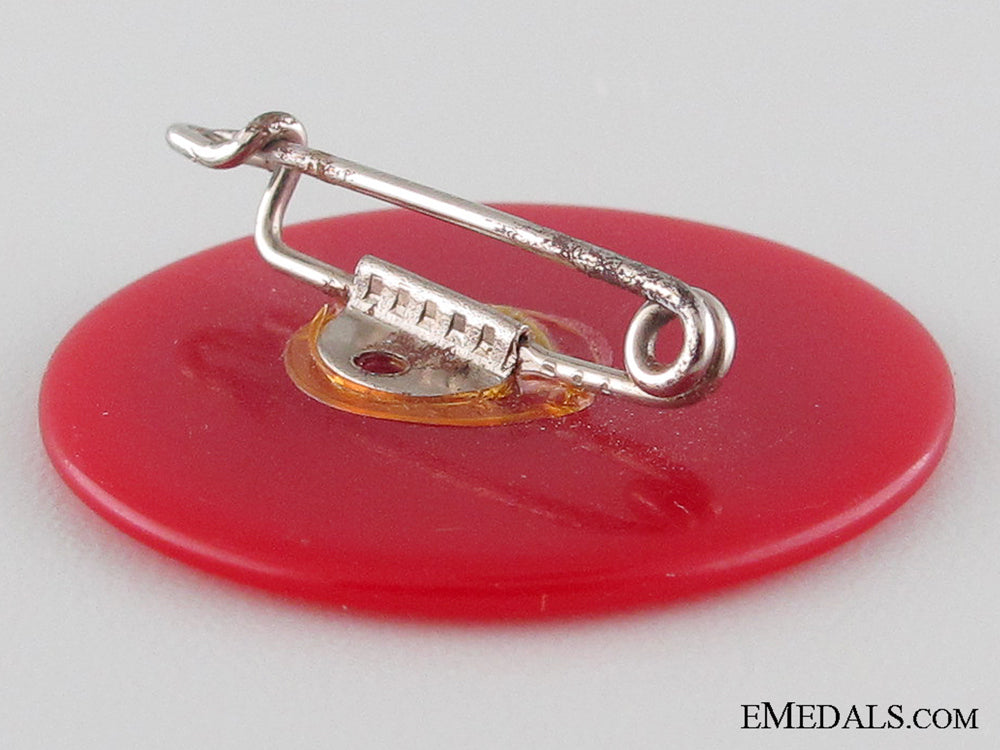 1938_nsdap_celle_badge_img_2905