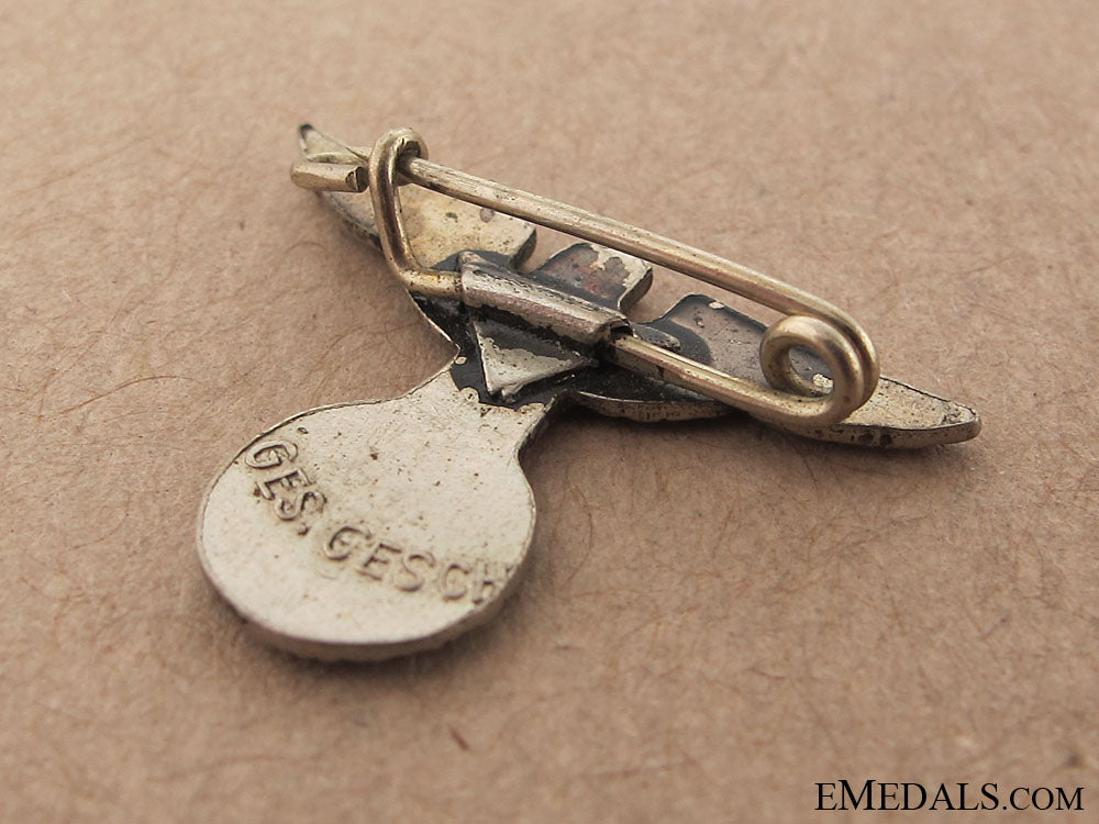 nsdap_supporter's_pin_img_3079_copy