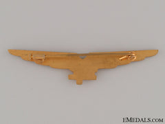 Wwii Italian Pilot Badge