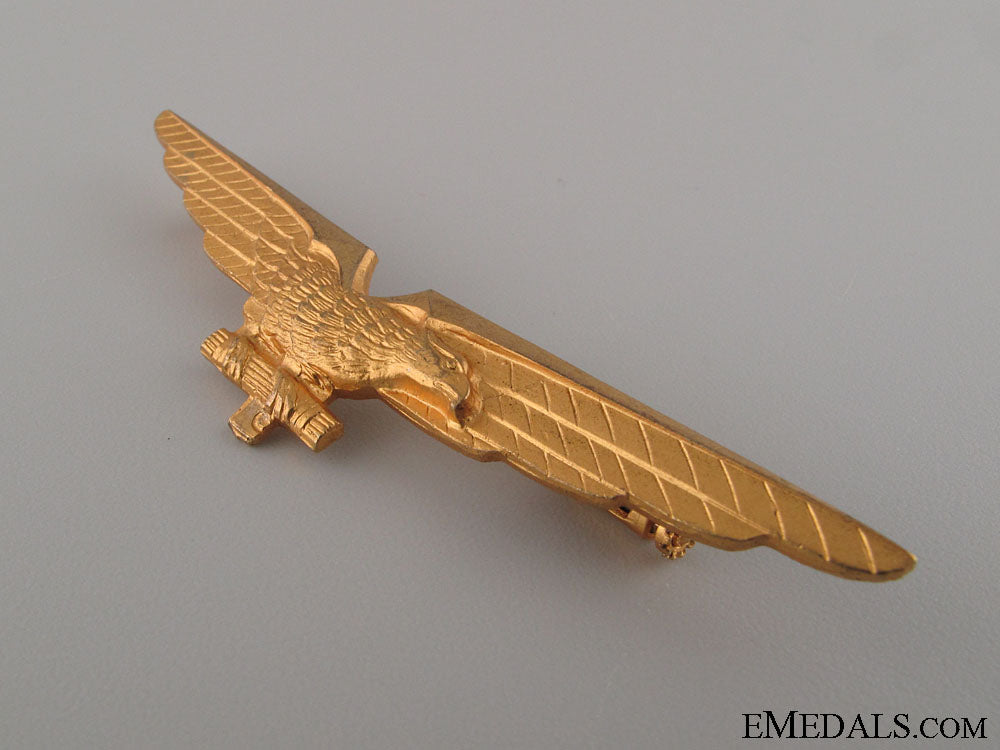 wwii_italian_pilot_badge_img_3089_copy