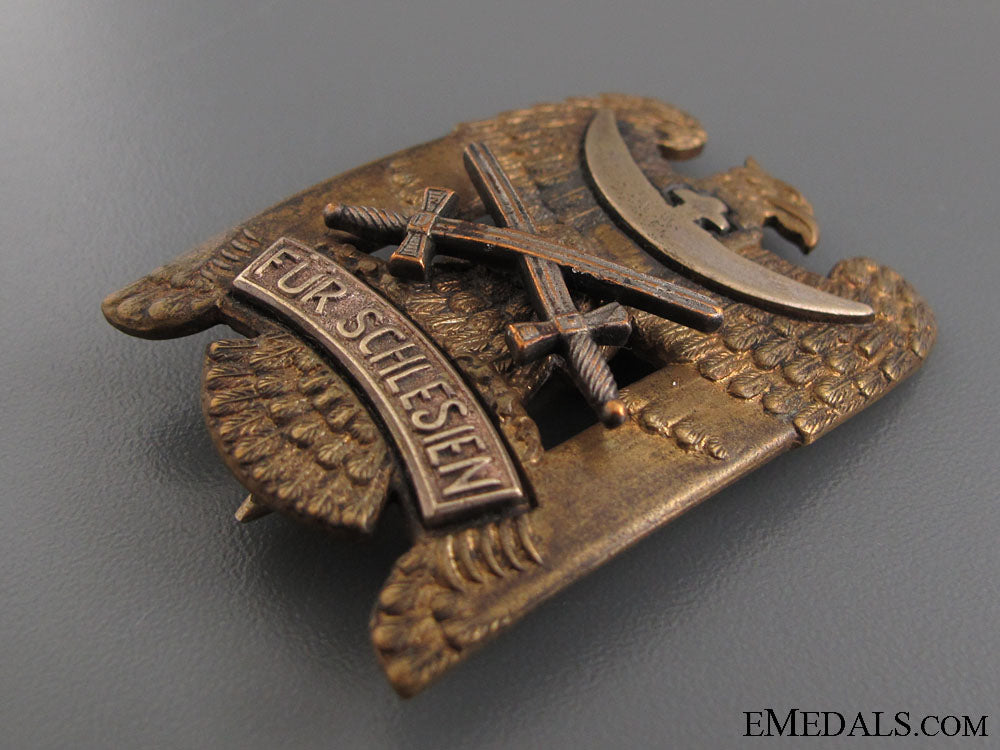 silesian_eagle_with_swords-_first_class_img_3530_copy