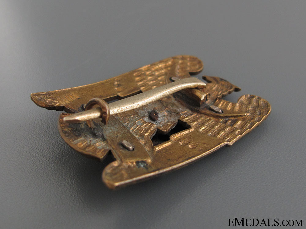 silesian_eagle_with_swords-_first_class_img_3533_copy