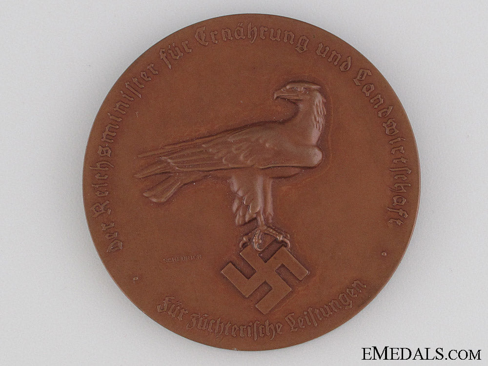 medal_of_merit_of_the_reichsminister_img_4303_copy