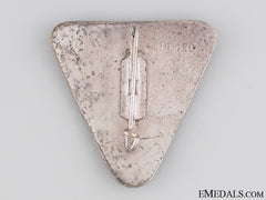 Nationalsozialistische Frauenschaft Badge