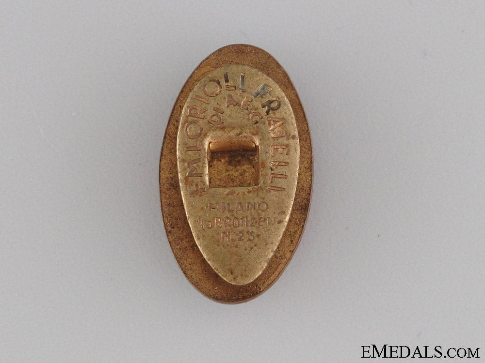 italian_fascist_legion_in_spain_badge_img_4927_copy