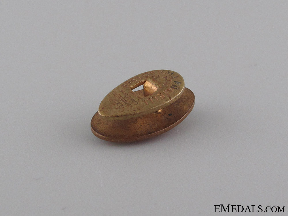 italian_fascist_legion_in_spain_badge_img_4928_copy