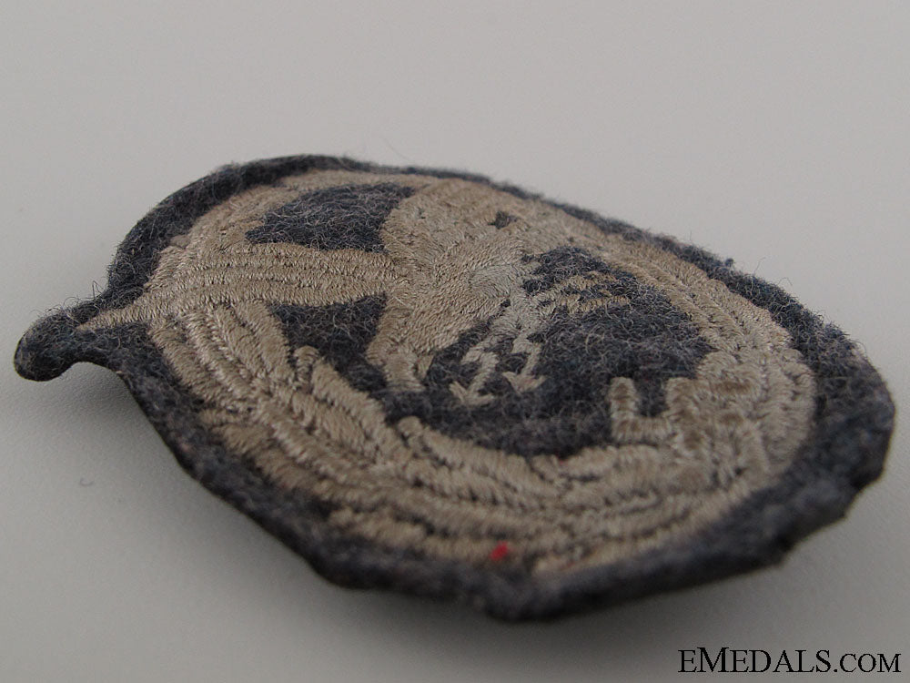radio_operator&_air_gunner_cloth_badge_img_6699_copy
