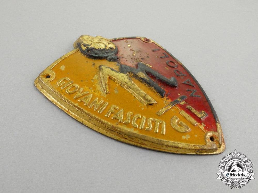 an_italian_gil(_gioventu_italiana_del_littorio)_fascist_youth_naples(_napoli)_sleeve_badge_j_052_1
