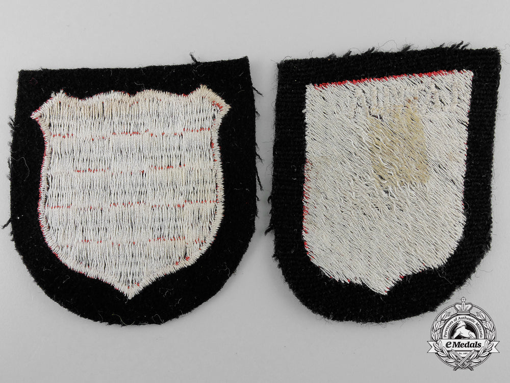 two_waffen-_ss_sleeve_insignia_j_085