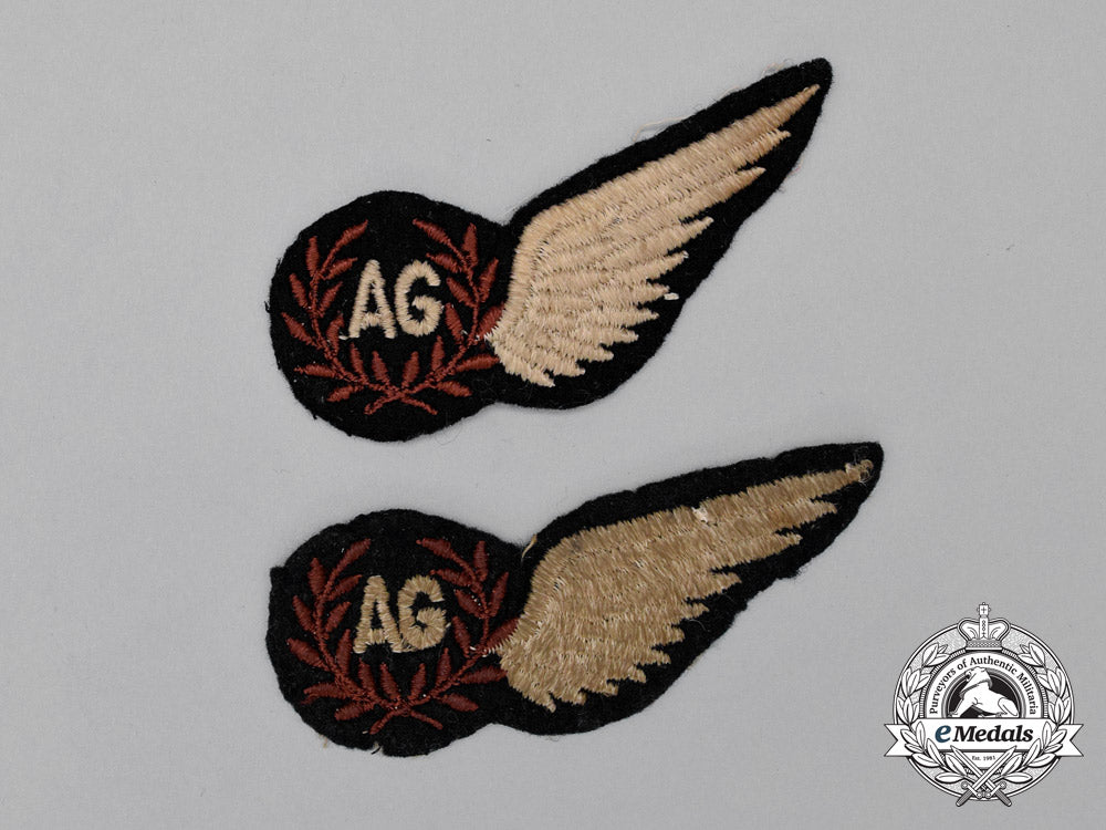 two_second_war_royal_air_force(_raf)_air_gunner(_ag)_wings_j_255_1