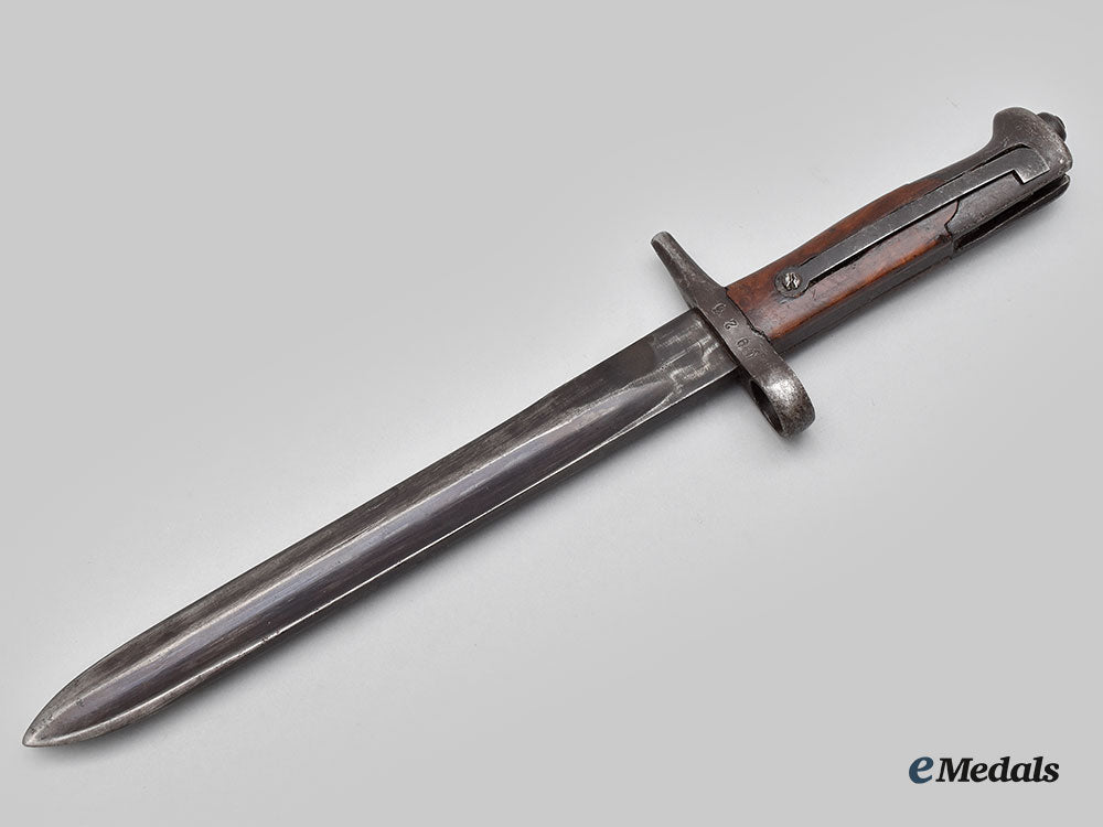 italy,_kingdom._a_m1886_rifle_bayonet,_by_brescia_l22_mnc1628_219