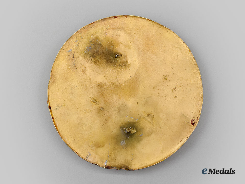 austria,_empire._an_emperor_franz_joseph_i_commemorative_wall_plaque1909_l22_mnc2120_391_1