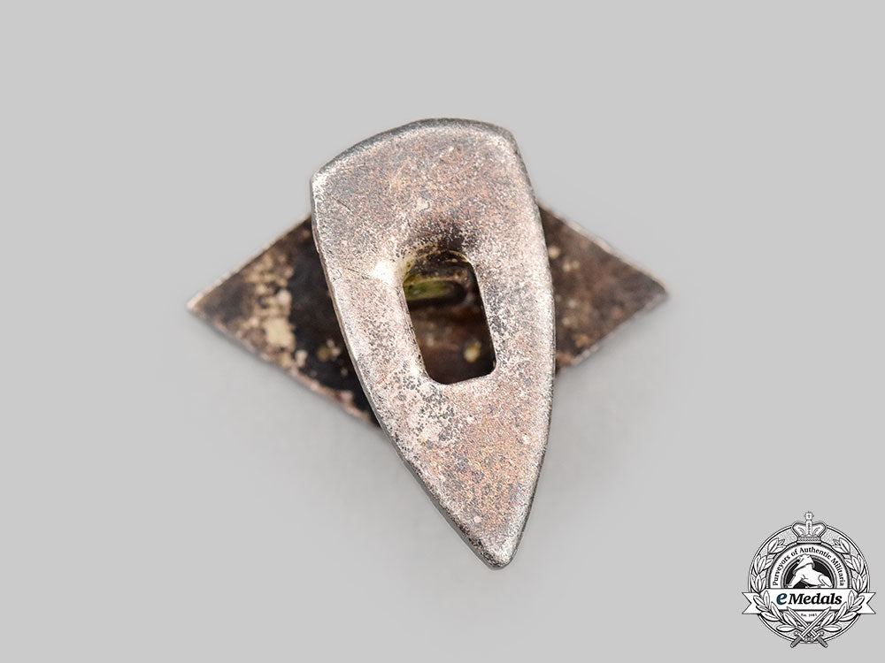 germany,_ss._a_flemish_ss_supporting_member’s_boutonniere_l22_mnc2488_250_1_2_1