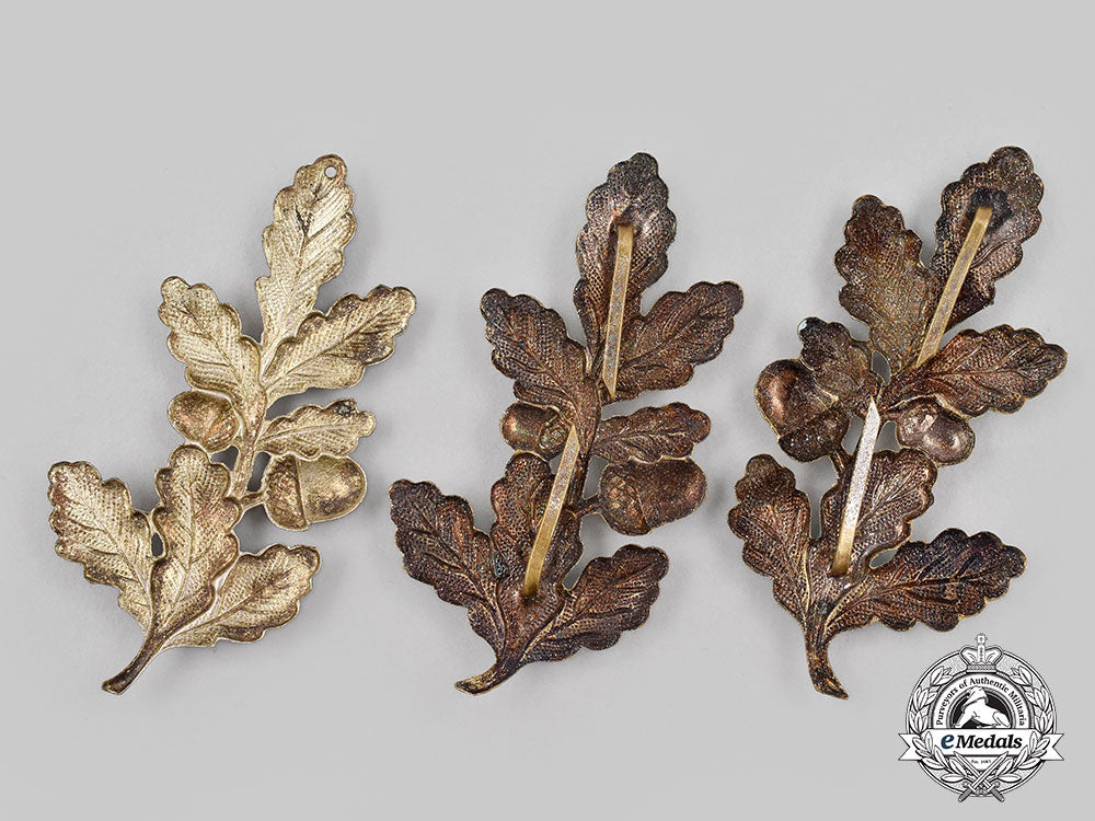 germany,_weimar_republic._a_lot_of_freikorps_haas_collar_tabs_l22_mnc3865_154