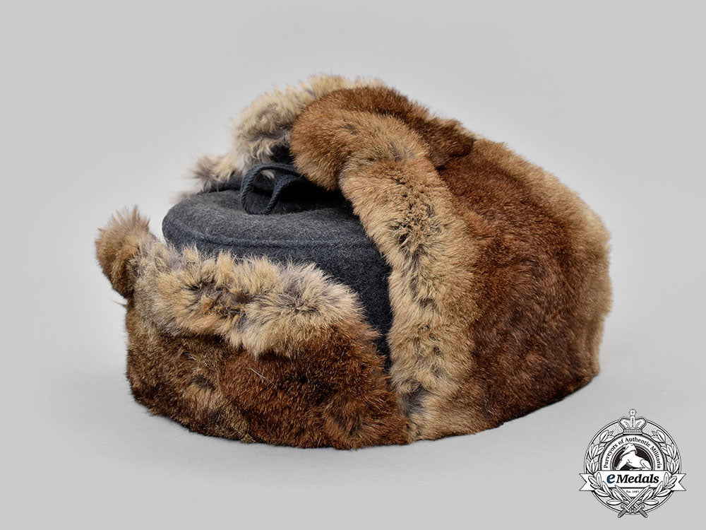 germany,_luftwaffe._a_winter_field_cap,_by_august_schellenberg_l22_mnc4434_294_1