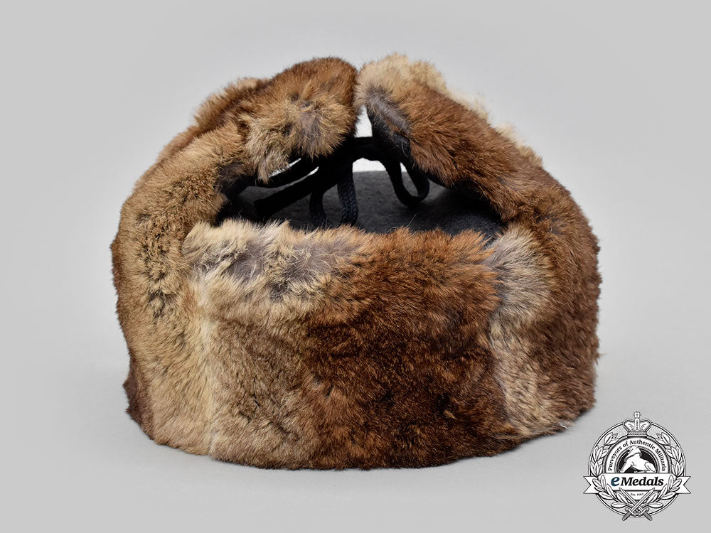 germany,_luftwaffe._a_winter_field_cap,_by_august_schellenberg_l22_mnc4436_296_1