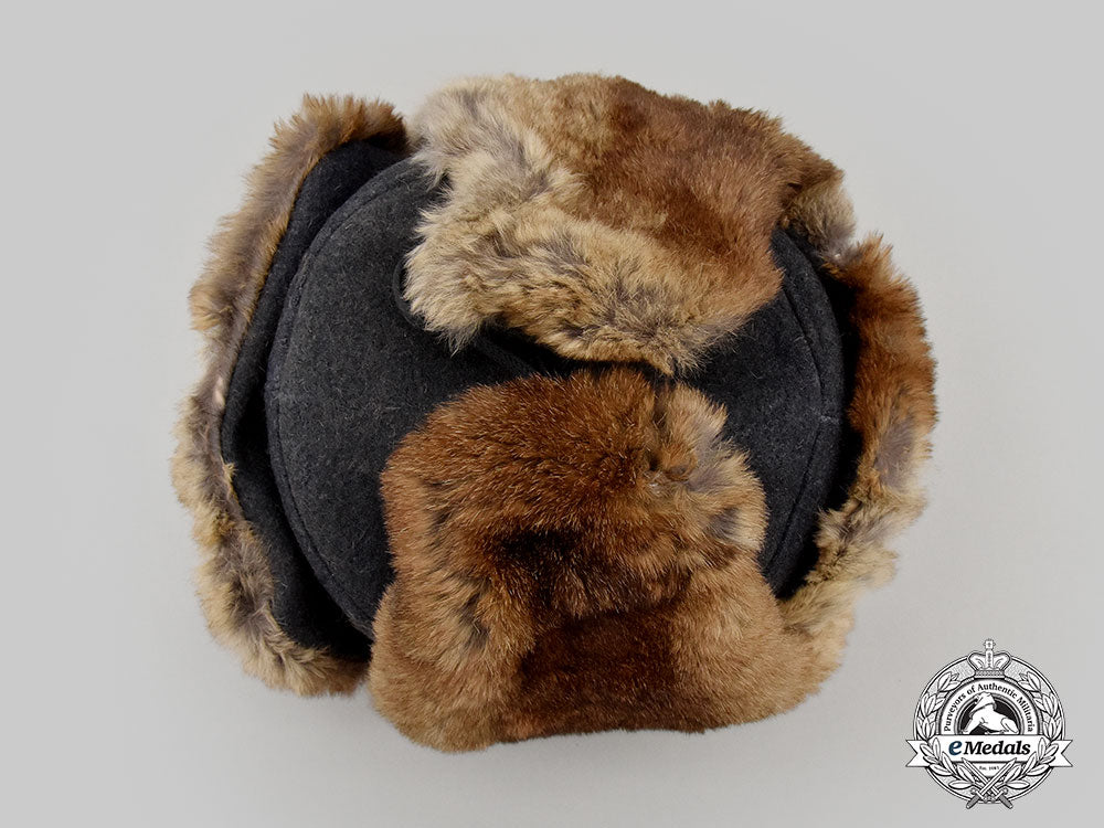 germany,_luftwaffe._a_winter_field_cap,_by_august_schellenberg_l22_mnc4439_299_1