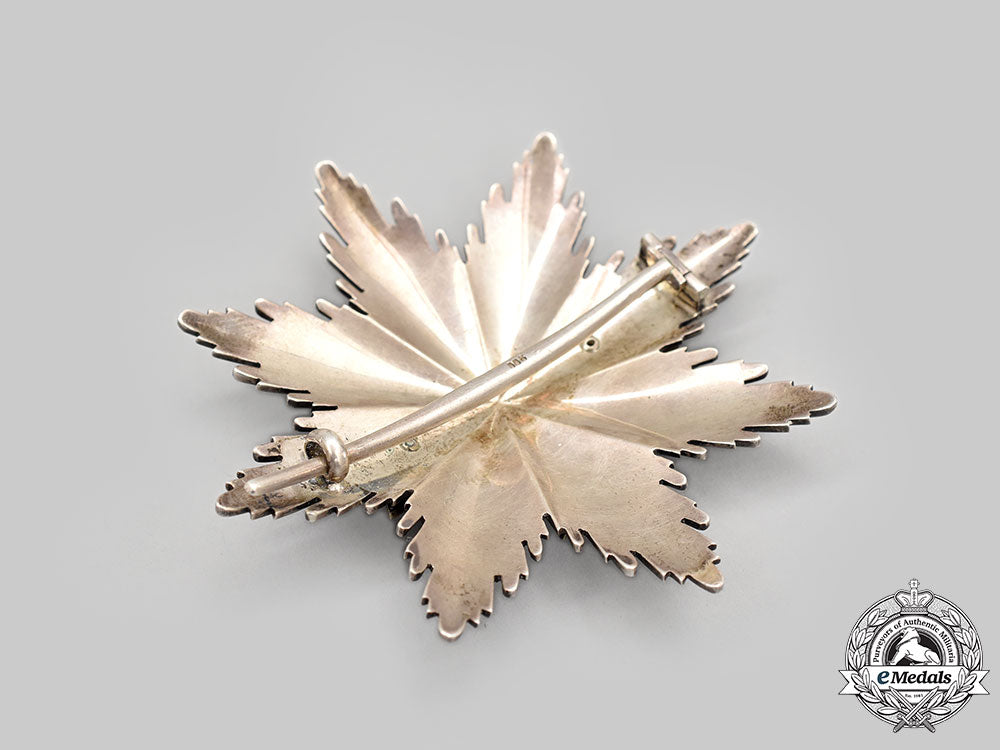 germany,_third_reich._a_rare_order_of_the_german_eagle,_grand_cross_breast_star,_by_godet_l22_mnc4986_434_1