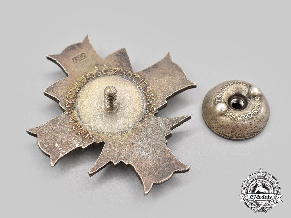 poland,_ii_republic._a3_rd_carpathian_rifle_division_badge_l22_mnc5270_823