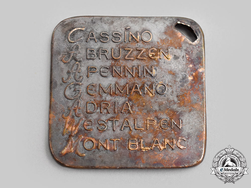 germany,_heer._a_gebirgsjäger-_regiment100_commemorative_medal_l22_mnc6136_964_1