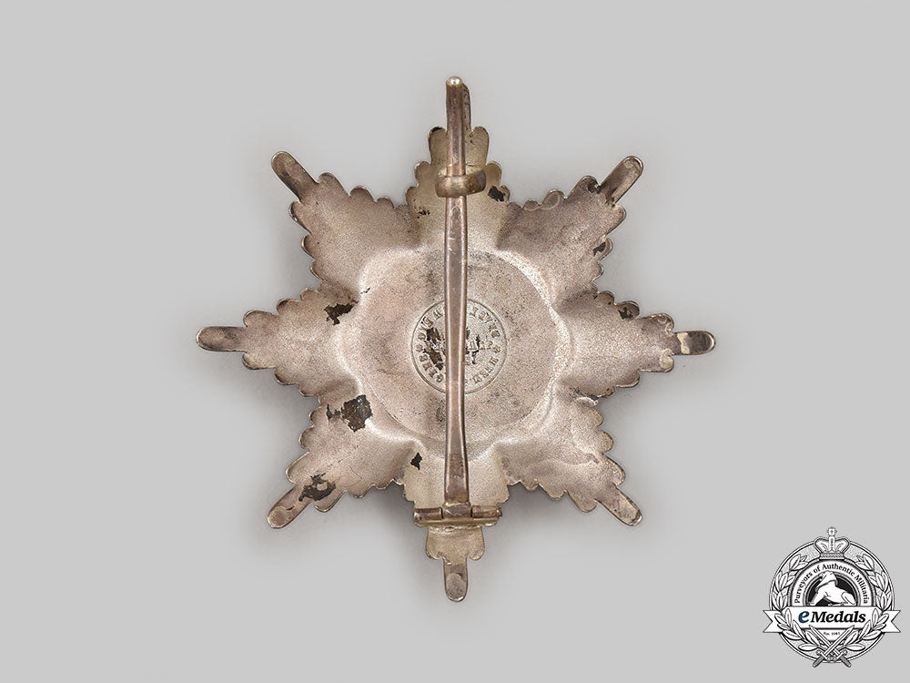 braunschweig,_dukedom._an_order_of_henry_the_lion,_i_class_star,_by_hermann_jürgens,_c.1918_l22_mnc6735_134