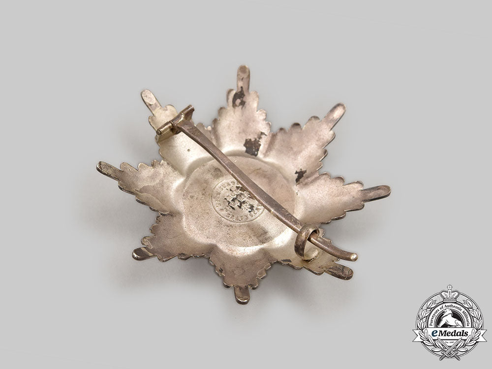 braunschweig,_dukedom._an_order_of_henry_the_lion,_i_class_star,_by_hermann_jürgens,_c.1918_l22_mnc6737_135