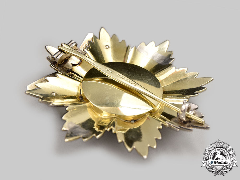 oldenburg,_grand_duchy._a_house_and_merit_order_of_peter_frederick_louis,_grand_cross_with_swords,_by_lameyer,_c.1916_l22_mnc6767_150_1