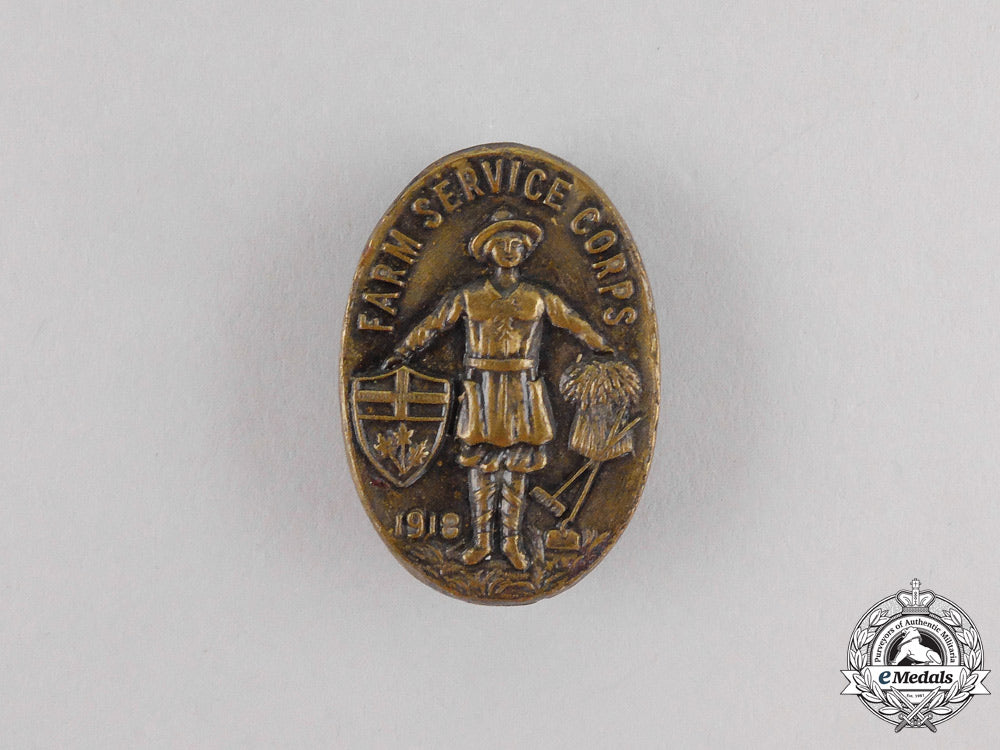 a_first_war_canadian_farm_service_corps_badge1918_l_307_1