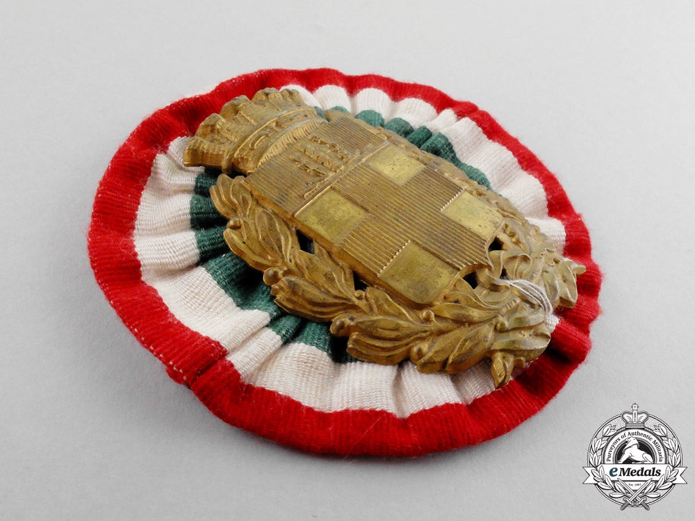 italy,_kingdom._a_pith_helmet_badge_m17-1134