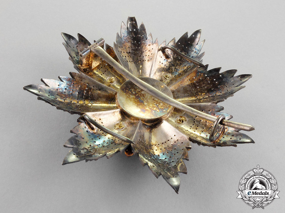 monaco,_principality._an_order_of_charles,1_st_class_grand_cross,_c.1865_m18-2034_1_1_1_1