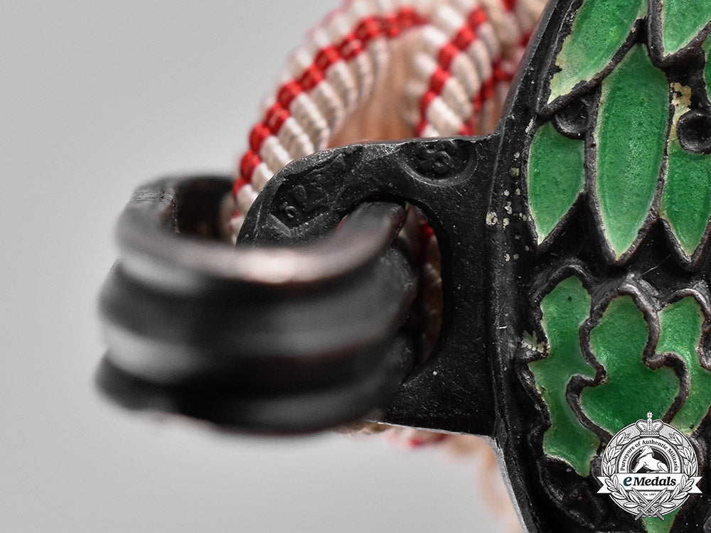 austria,_empire._an_honour_decoration_of_the_red_cross,_silver_medal_with_w.d_m181_2254