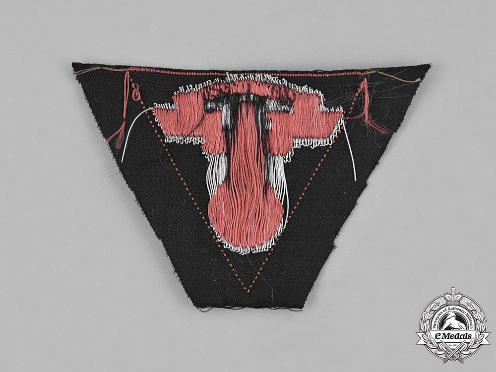 germany,_nskk._an_unissued_national_socialist_motor_corps(_nskk)_district_austria_insignia_m181_3362