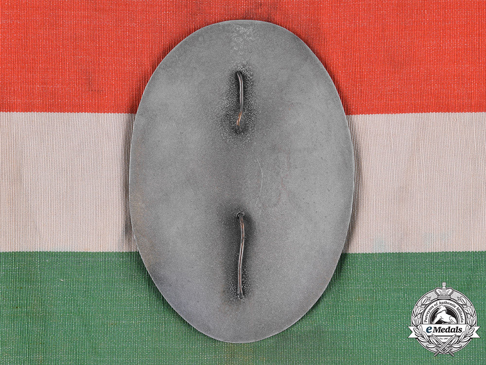 italy,_fascist._an_early_catholic_trade_union_confederation(_cil)_fascist_period_armband_m181_4490