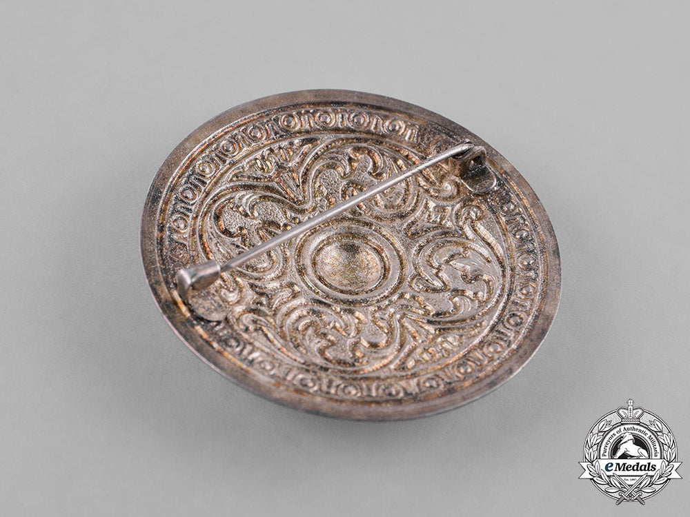 germany._three_third_reich_period_runic_badge_m181_8584